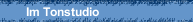 Im Tonstudio